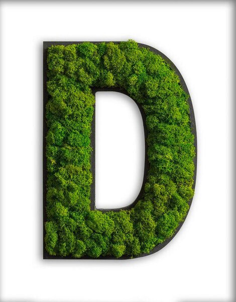 MACHOVÝ OBRAZ StyleGREEN - Online Only bytové doplnky, Online Only