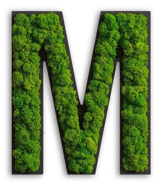 MACHOVÝ OBRAZ StyleGREEN - Online Only bytové doplnky, Online Only