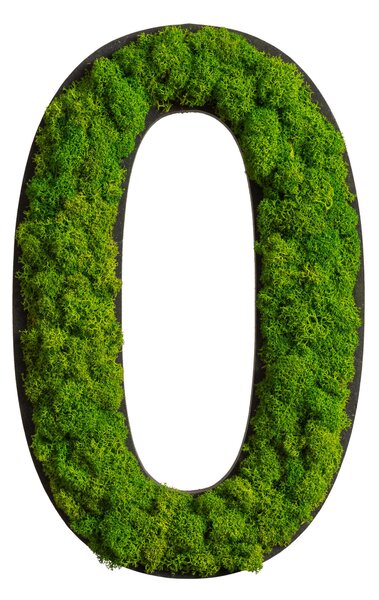 MACHOVÝ OBRAZ StyleGREEN - Online Only bytové doplnky, Online Only