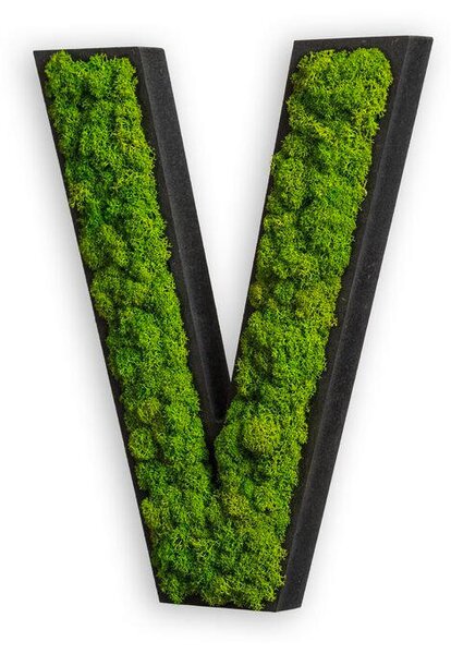 MACHOVÝ OBRAZ StyleGREEN - Online Only bytové doplnky, Online Only