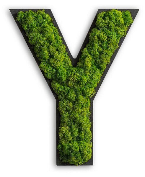 MACHOVÝ OBRAZ StyleGREEN - Online Only bytové doplnky, Online Only