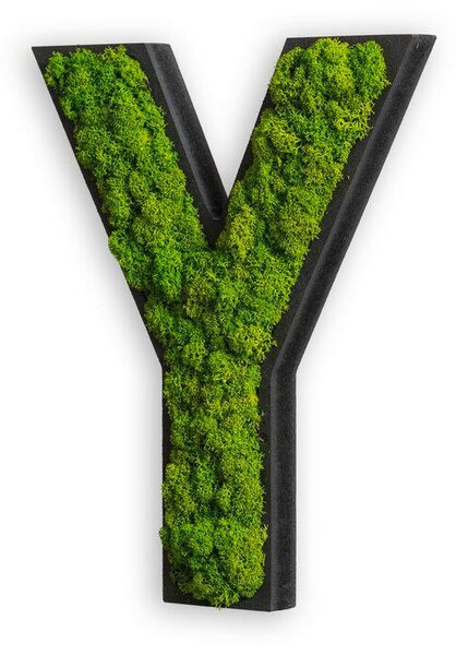 MACHOVÝ OBRAZ StyleGREEN - Online Only bytové doplnky, Online Only
