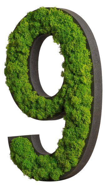 MACHOVÝ OBRAZ StyleGREEN - Online Only bytové doplnky, Online Only