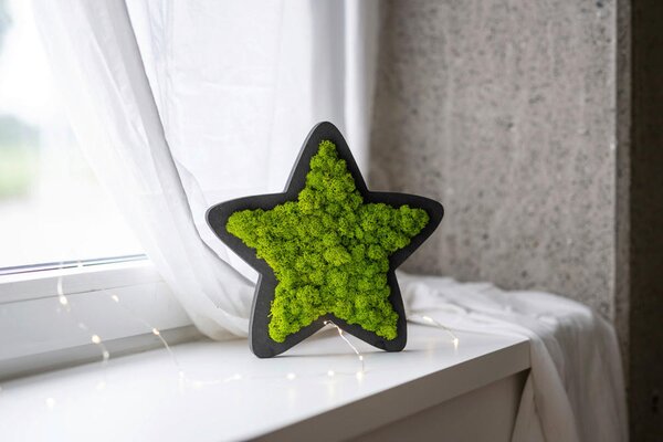 MACHOVÝ OBRAZ StyleGREEN - Online Only bytové doplnky, Online Only