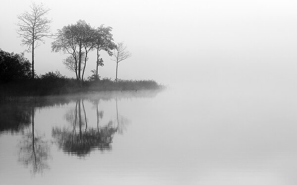Plátno maľba By the Lake I