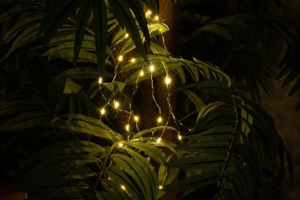 NEXOS Sada svetelných drôtov na batérie, 8 LED,teplá biela