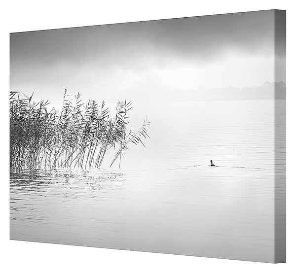 Plátno maľba By the Lake II