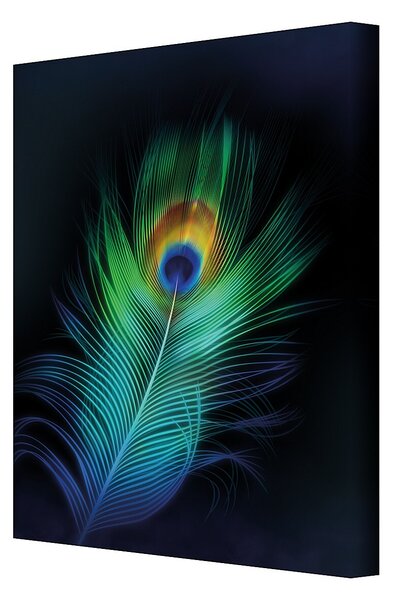 Plátno maľba Peacock Eye