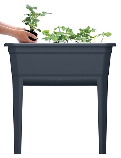 Plastové parenisko na nožičkách IPE600 59,6 cm - antracit