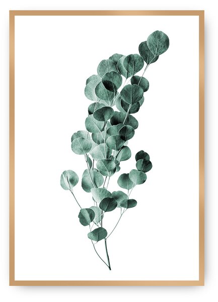 Plagát Eucalyptus Emerald Green