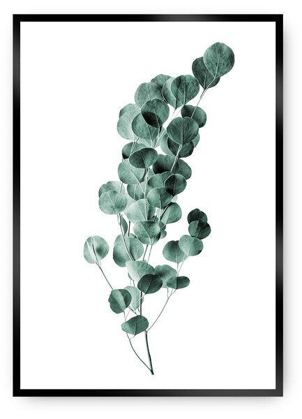 Plagát Eucalyptus Emerald Green