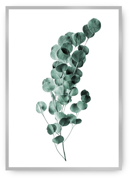Plagát Eucalyptus Emerald Green