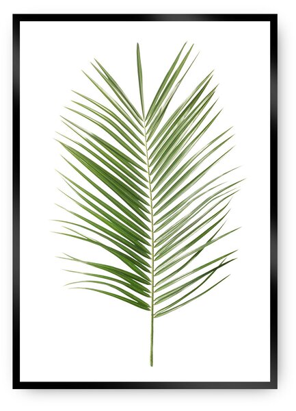 Plagát Palm Leaf Green