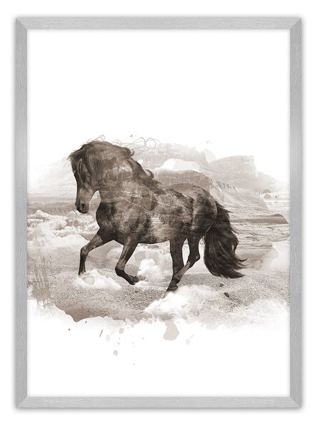 Plagát Horse