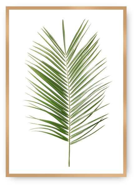 Plagát Palm Leaf Green