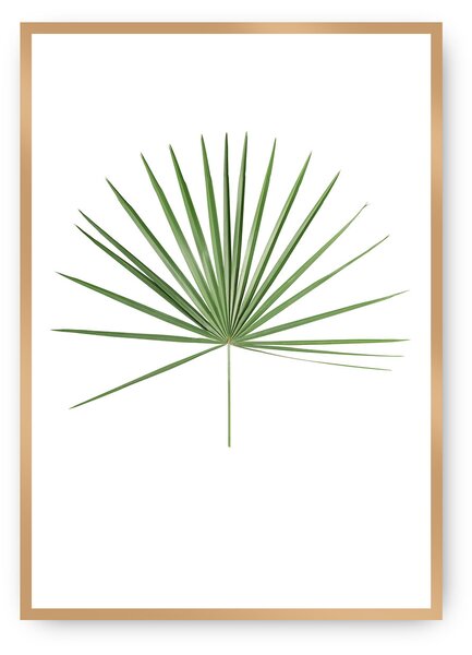Plagát Tropical Leaf Green