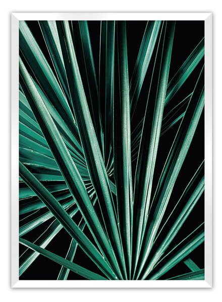 Plagát Dark Palm Tree