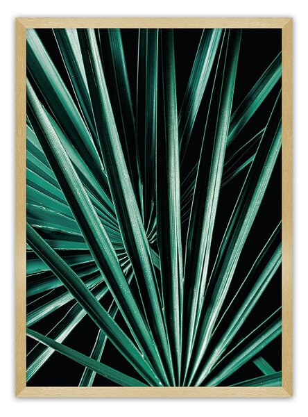 Plagát Dark Palm Tree