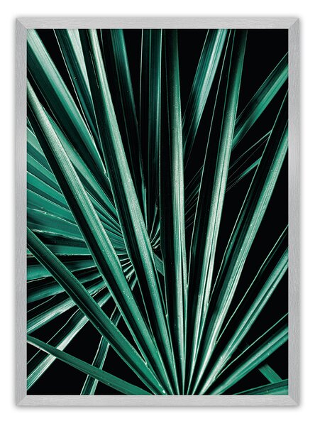 Plagát Dark Palm Tree