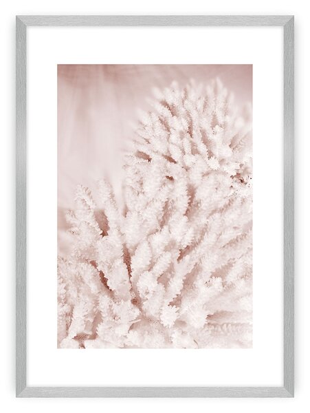 Plagát Pastel Pink II