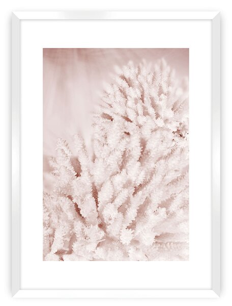 Plagát Pastel Pink II