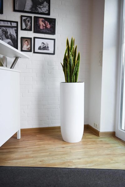 Kvetináč SOLERIO, výška 80 cm, sklolaminát, biely