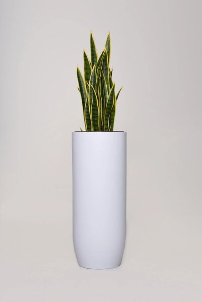 Kvetináč SOLERIO, výška 80 cm, sklolaminát, biely