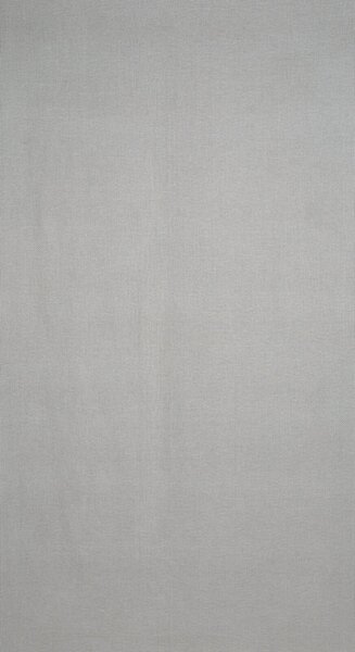 ZÁVES NA KRÚŽKOCH CINDY 140X250 CM STRIEBORNÁ