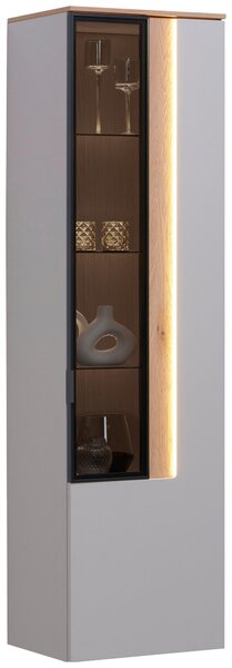ZÁVESNÁ VITRÍNA, farba duba, svetlosivá, 45,4/164,6/36 cm Dieter Knoll - Sklenené vitríny