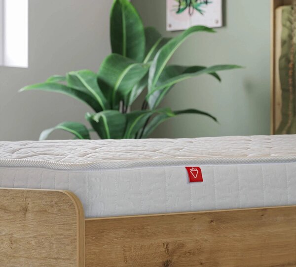Matrac NICE-Matrac NICE (100x200x19 cm)