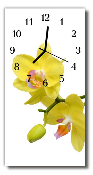 Nástenné hodiny vertikálne Orchidea kvety orchidey žlté 30x60 cm
