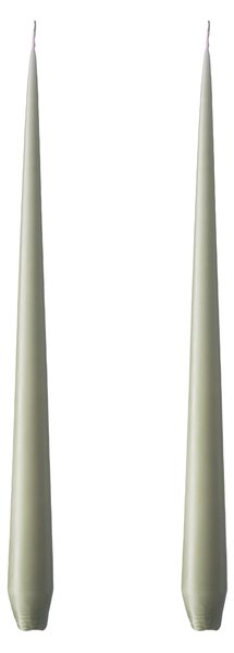 Sviečka Taper 32 cm – 69 Artichoke – sada 2 ks