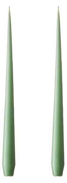 Sviečka Taper 32 cm – 66 Eucalyptus – sada 2 ks