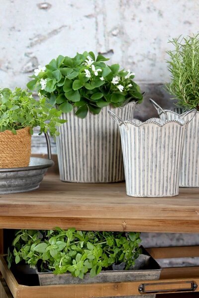 Dekoračný plechový antik kvetináč French Chic - 37*33*38 cm - Chic Antique