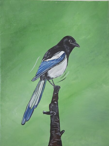 Vtáci dúhy - Séria 7 obrazov - 30 x 40 cm