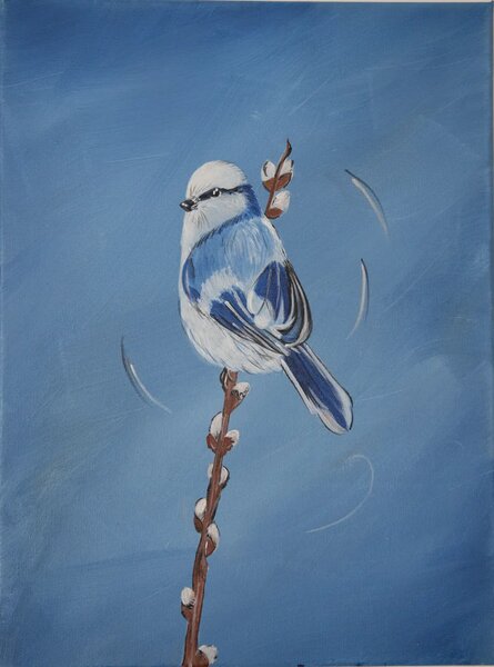 Vtáci dúhy - Séria 7 obrazov - 30 x 40 cm
