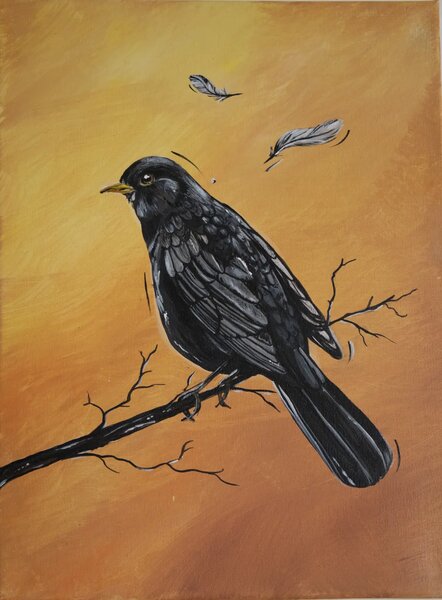 Vtáci dúhy - Séria 7 obrazov - 30 x 40 cm