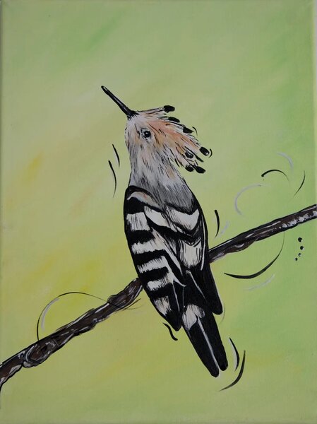 Vtáci dúhy - Séria 7 obrazov - 30 x 40 cm