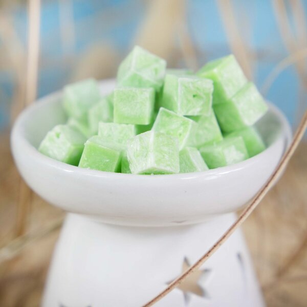 Repelentný vonný vosk Citronela 30 g