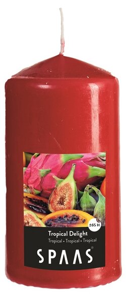 SPAAS Vonná sviečka valec 8x15cm tropická