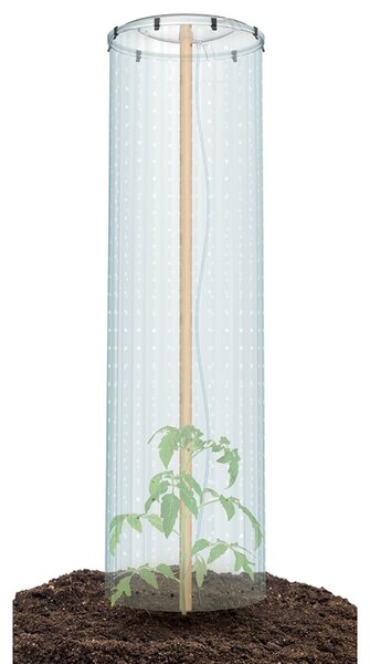 PROSPERPLAST Pestovateľská súprava (fóliovník) pre TOMATO GROWER CAP 38,5 cm