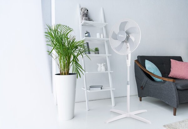 Ardes Ventilátor