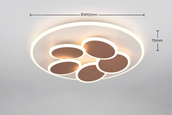TRIO 653210676 MANDALA stropné svietidlo D490mm SMD LED 35W/4200lm 2700-6500K svetlo šedá, diaľkový ovládač