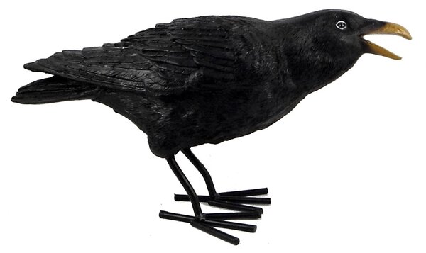 Havran čierny soška 29cm