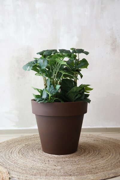 Kvetináč LEVANTA, plast, výška 72 cm, hnedá