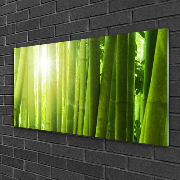 Obraz na skle Bambus rastlina 100x50 cm 2 Prívesky