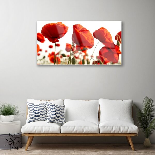 Obraz na skle Tulipány kvety 100x50 cm 2 Prívesky
