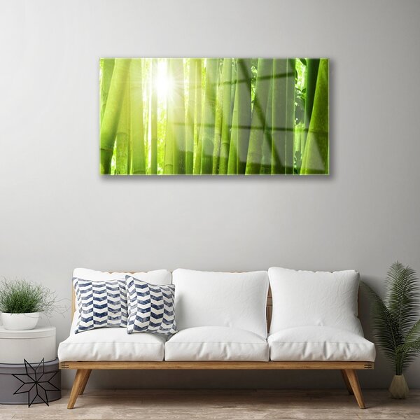 Obraz na skle Bambus rastlina 100x50 cm 2 Prívesky
