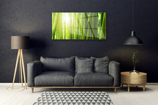 Obraz na skle Bambus rastlina 100x50 cm 2 Prívesky