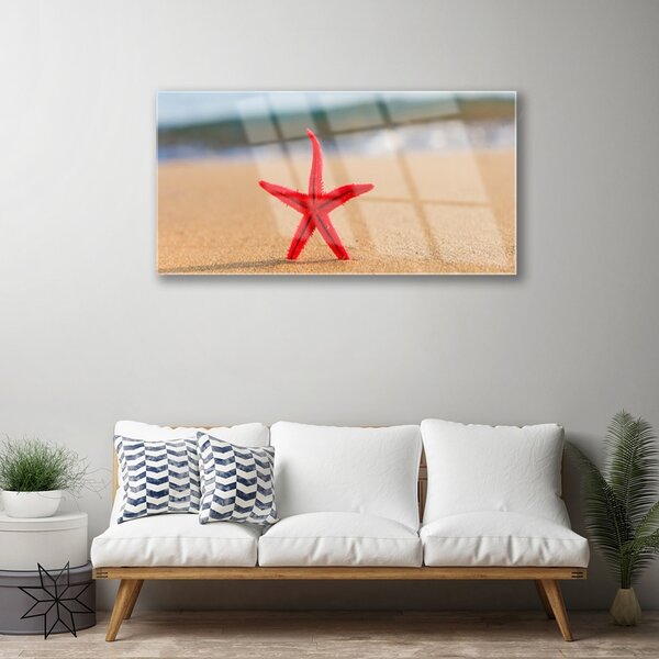Obraz na skle Pláž hviezdice umenie 100x50 cm 2 Prívesky